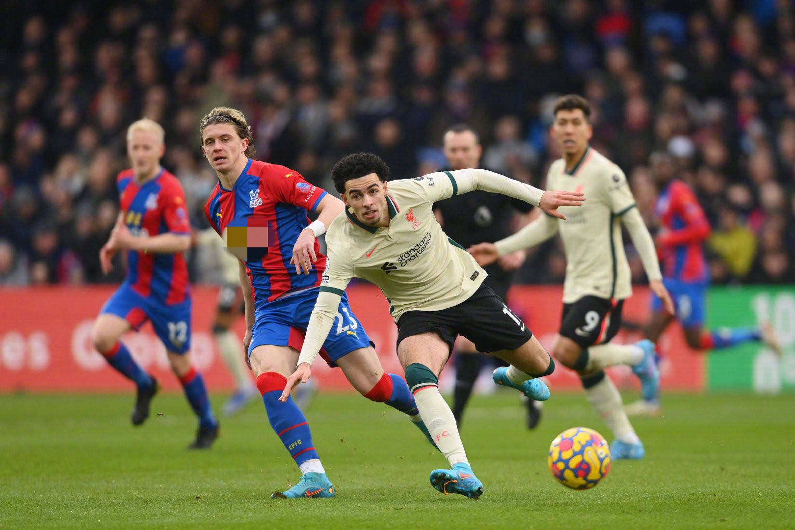 一个备受关 一个备受关